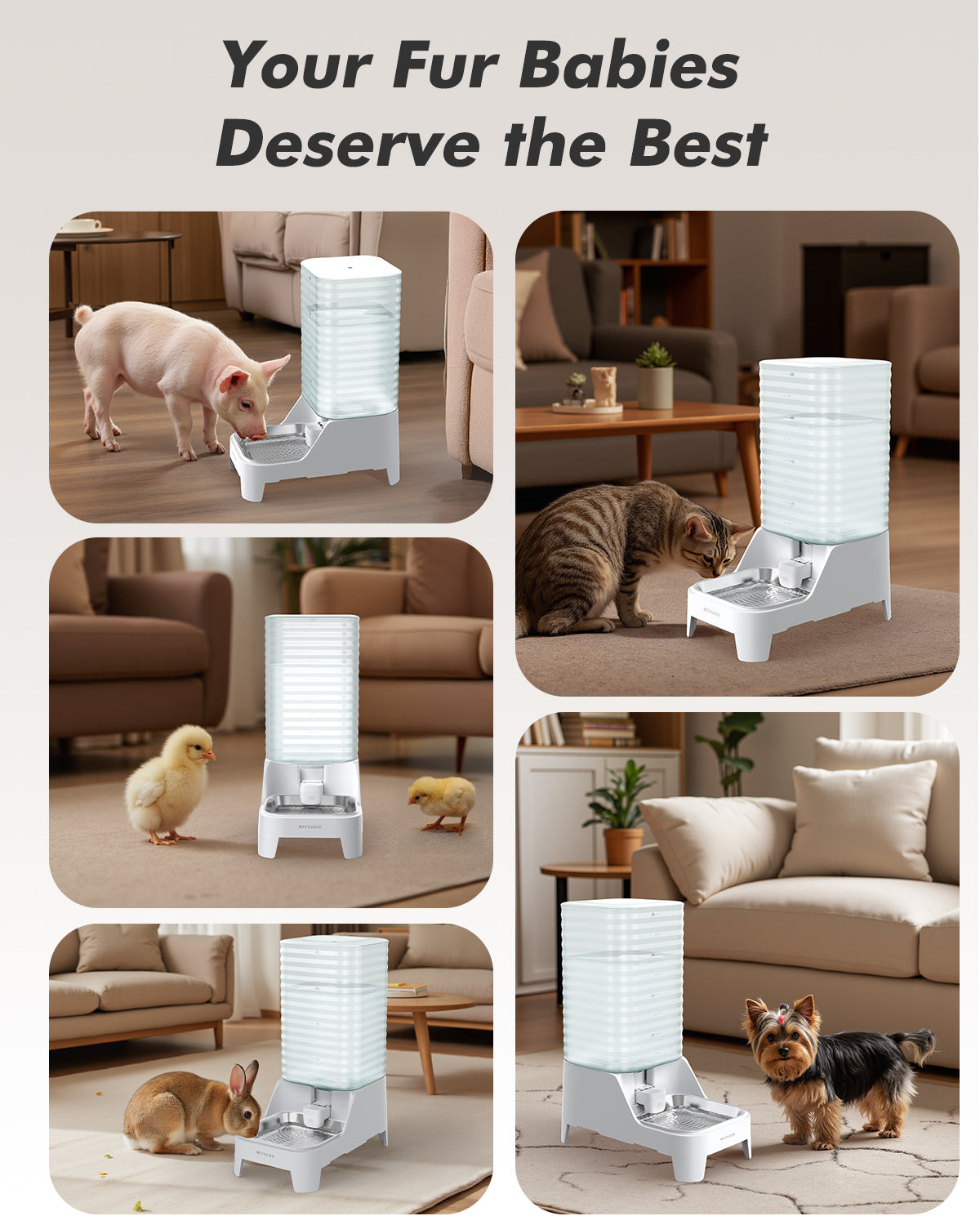 Automatic Dog Water Bowl Dispenser, 8L Gravity Cat Water Dispenser with Elevated Stainless Steel Bowl, Patented Design, BPA-Free, Easy to Clean Pet Waterer with Filter for Small & Medium Dogs and Cats