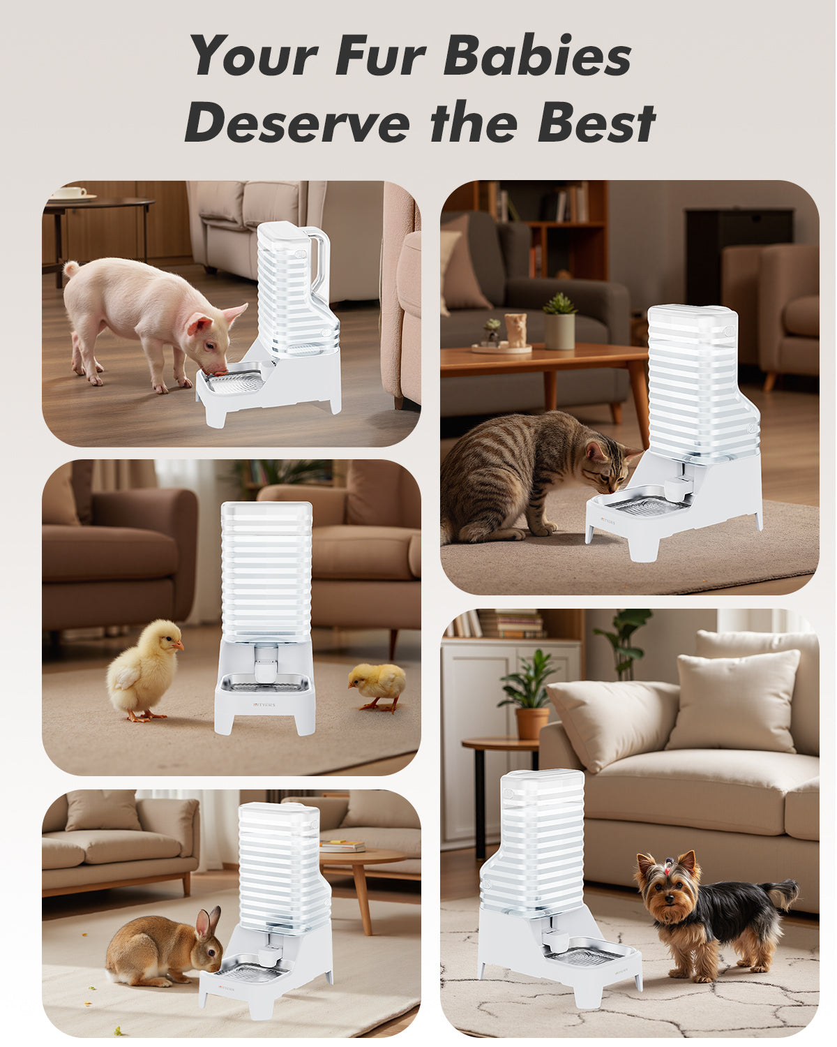 Automatic Dog Water Bowl Dispenser with Patented Faucet - 6L Large Gravity Cat Water Dispenser with Handle, Filter & Adjustable Base, Wide Mouth for Easy Clean, BPA-Free, Stainless Steel Pet Waterer