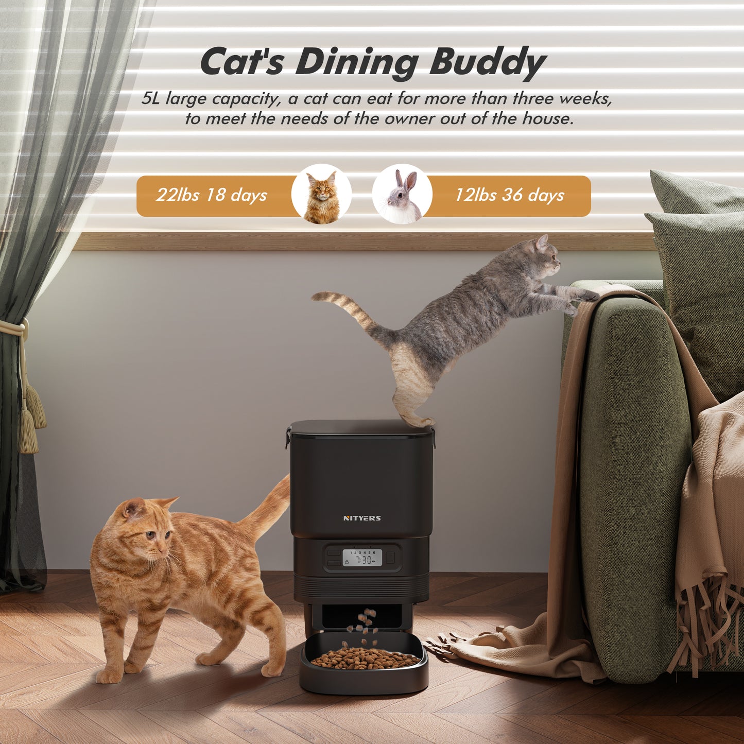 Automatic Cat Feeder 5L - Timed Pet Feeder for Cats and Dogs with Dry Cat Food Dispenser, Dog and Cat Food Storage Container, Programmable Control 1-6 Meals Pet Day, 10s Voice, Safety Lock