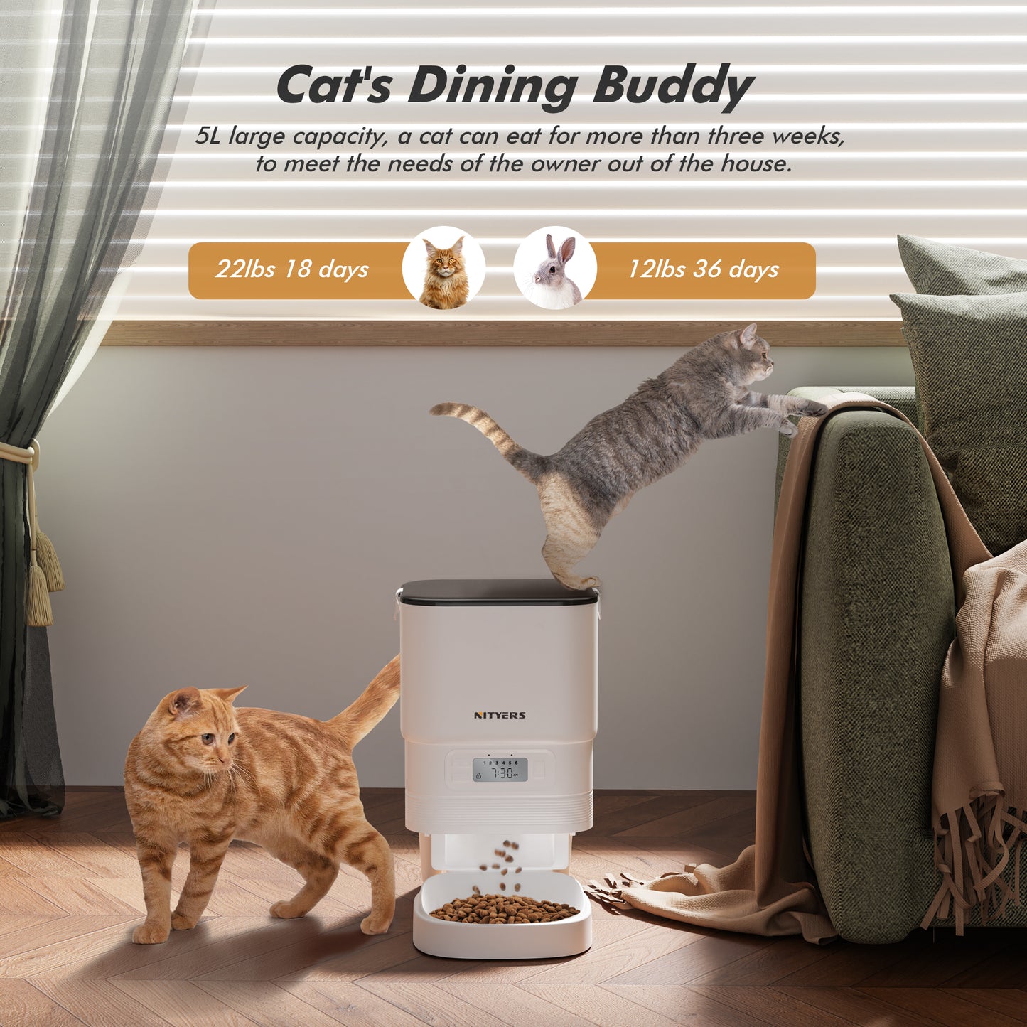 Automatic Cat Feeder 5L - Timed Pet Feeder for Cats and Dogs with Dry Cat Food Dispenser, Dog and Cat Food Storage Container, Programmable Control 1-6 Meals Pet Day, 10s Voice, Safety Lock