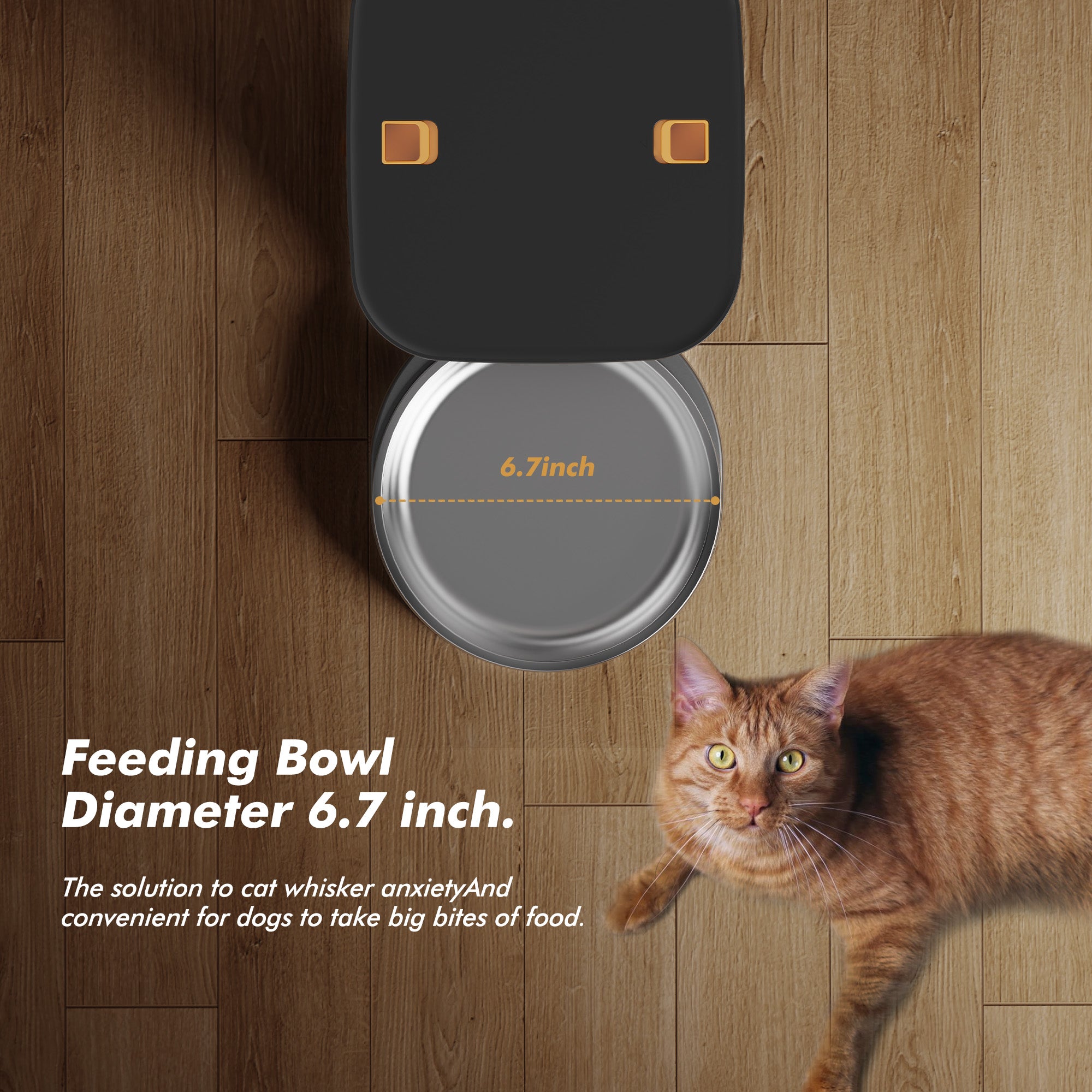 Automatic Cat Feeder With Timer - 8L Capacity, 6 Meals A Day, Dual Power (Battery/Plug)