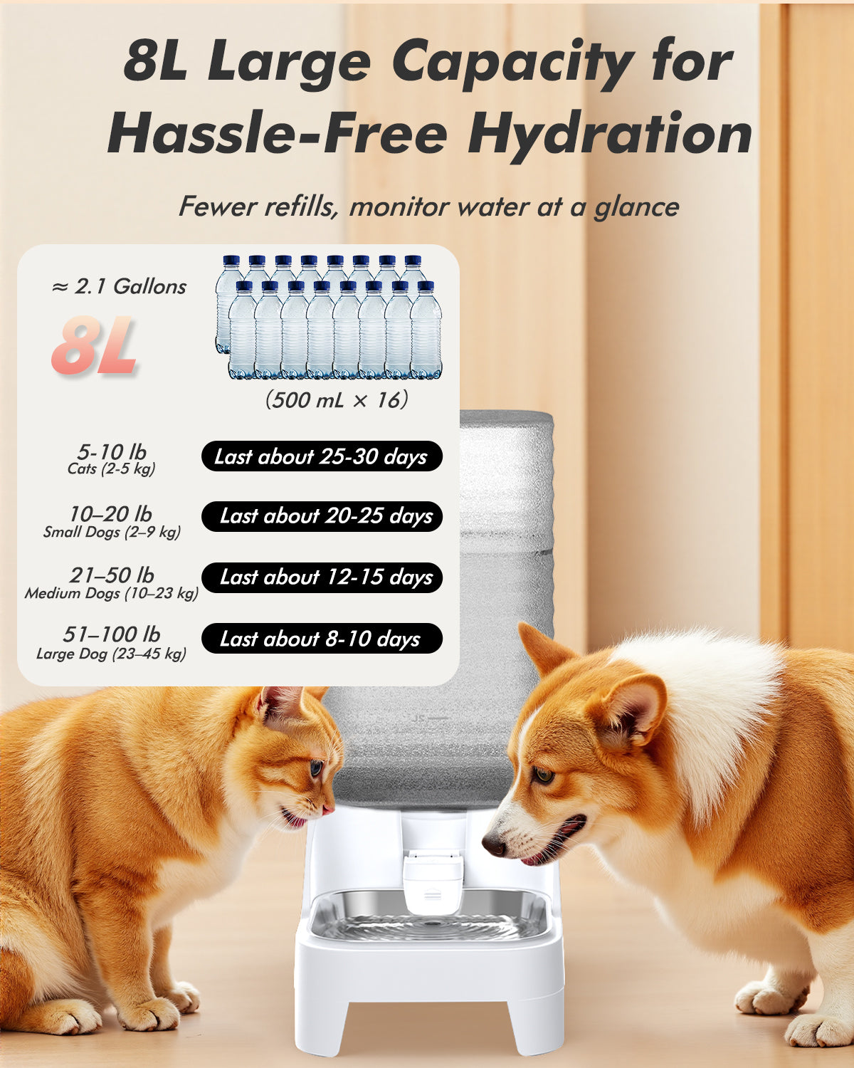 Automatic Dog Water Bowl Dispenser, 8L Gravity Cat Water Dispenser with Elevated Stainless Steel Bowl, Patented Design, BPA-Free, Easy to Clean Pet Waterer with Filter for Small & Medium Dogs and Cats