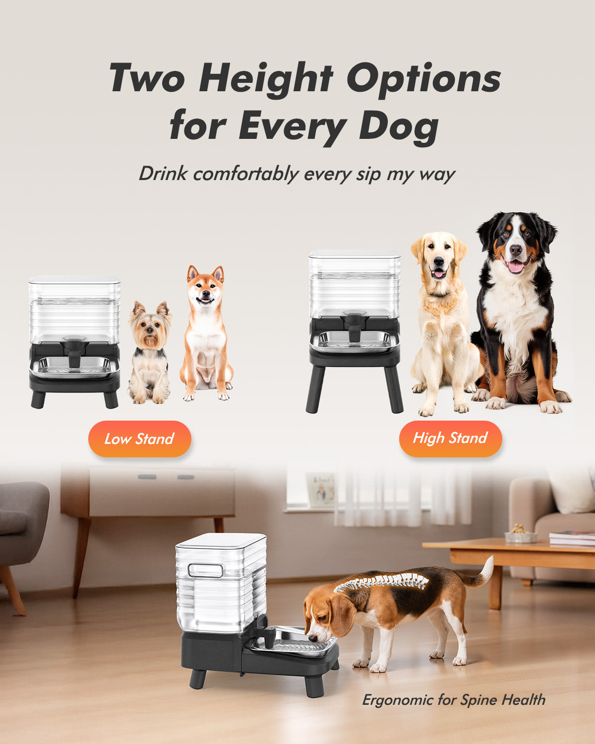 Water Bowl Dispenser for Medium & Small Dogs with Patent Faucet, 3.2 Gallon, Elevated Stainless Steel Bowl for Comfortable Drinking, Automatic Gravity Refilling, Wide Opening, Easy Clean, Anti-Splash